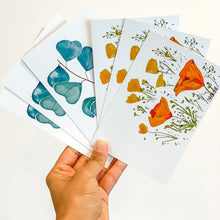 Load image into Gallery viewer, Postcard Prints - Limited Flora Collection