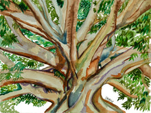 Load image into Gallery viewer, The Giving Tree
